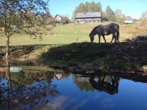 Cudne Manowce Wetlina